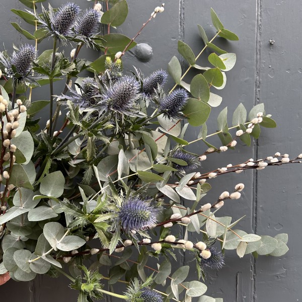Eucalyptus & Thistle