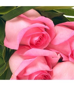 6 White Rose Funeral Sheaf - View 3