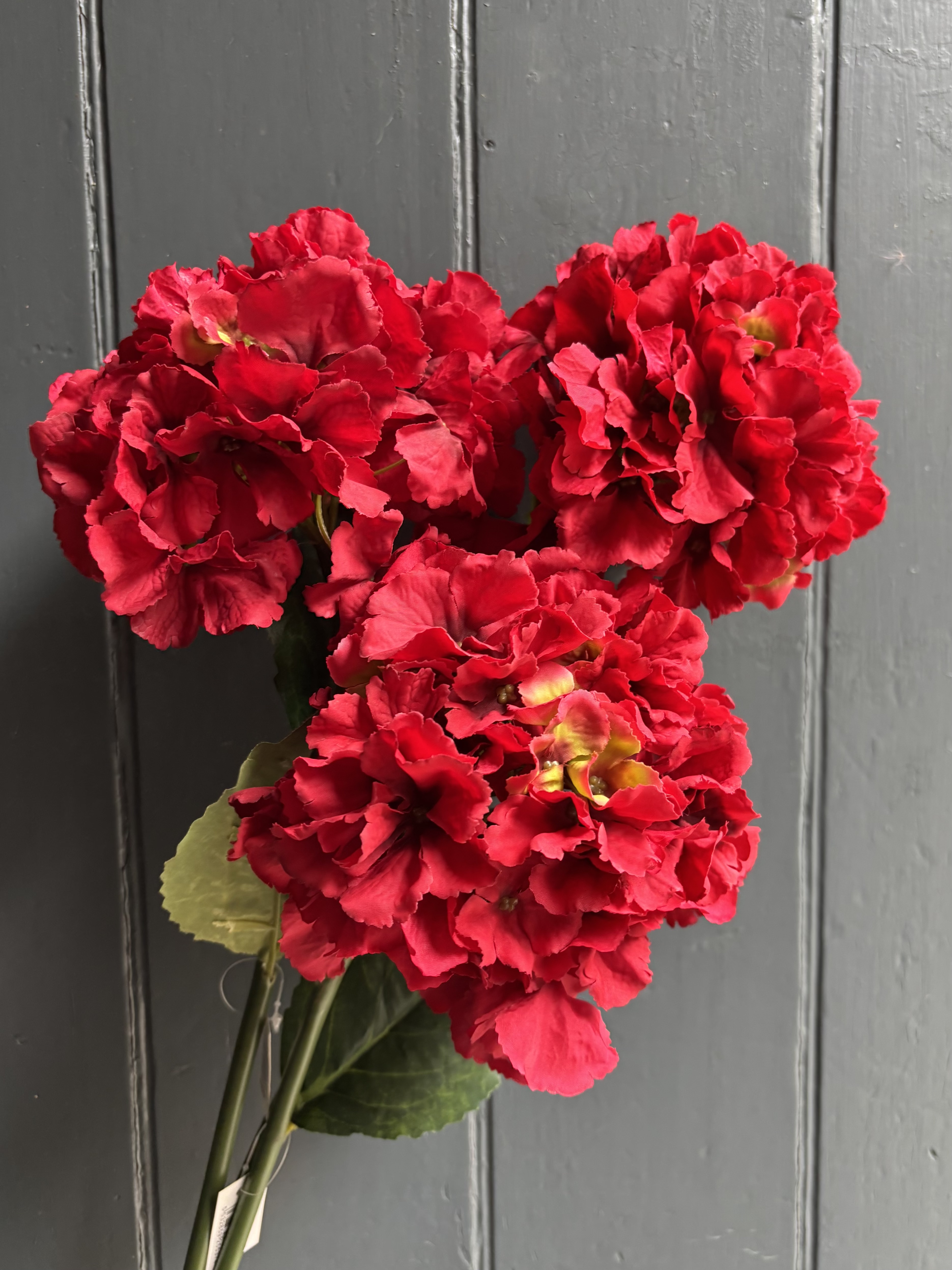 Red Hydrangea