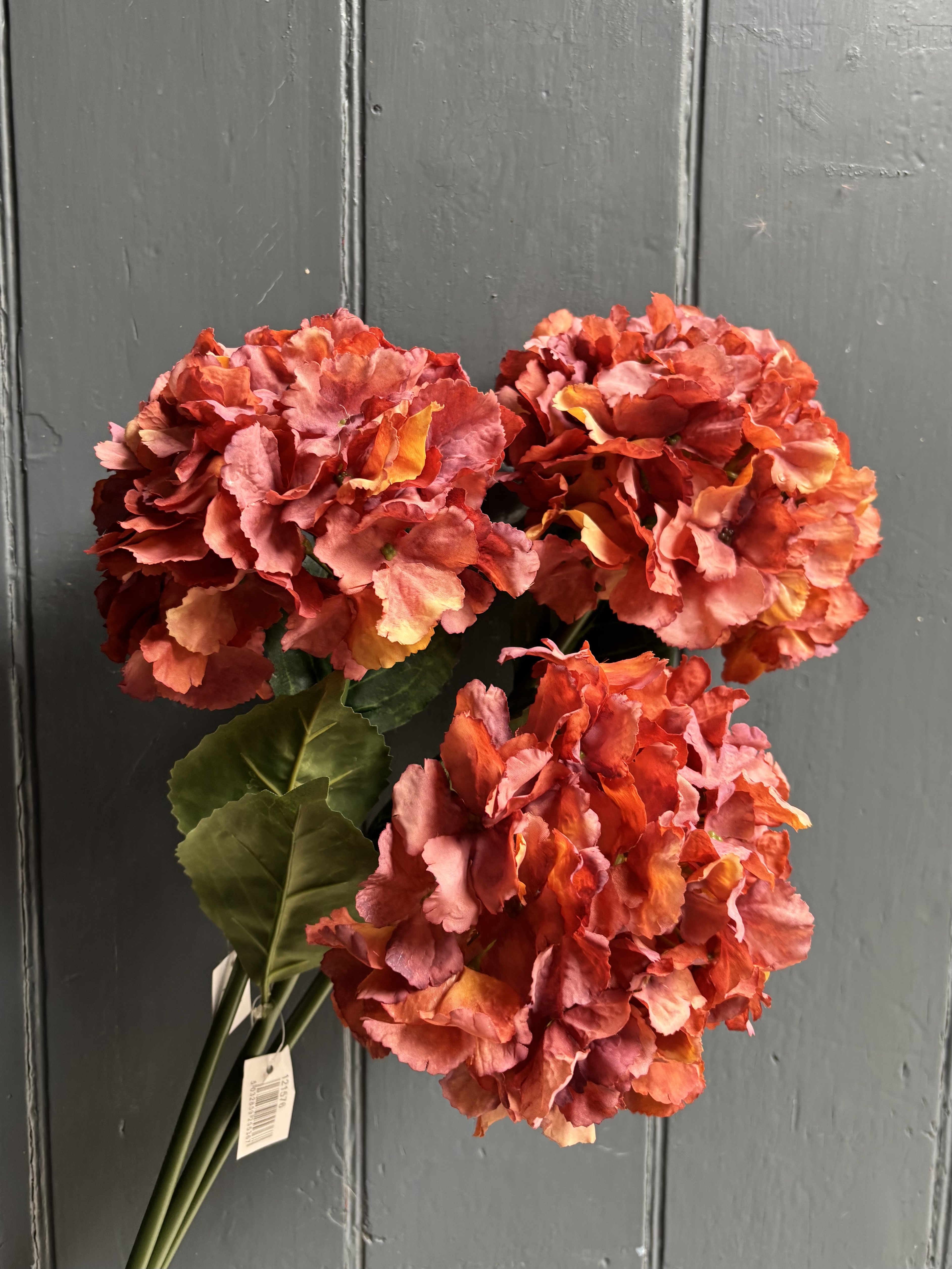 Orange Hydrangea - Order from Bay Tree Florists Elgin