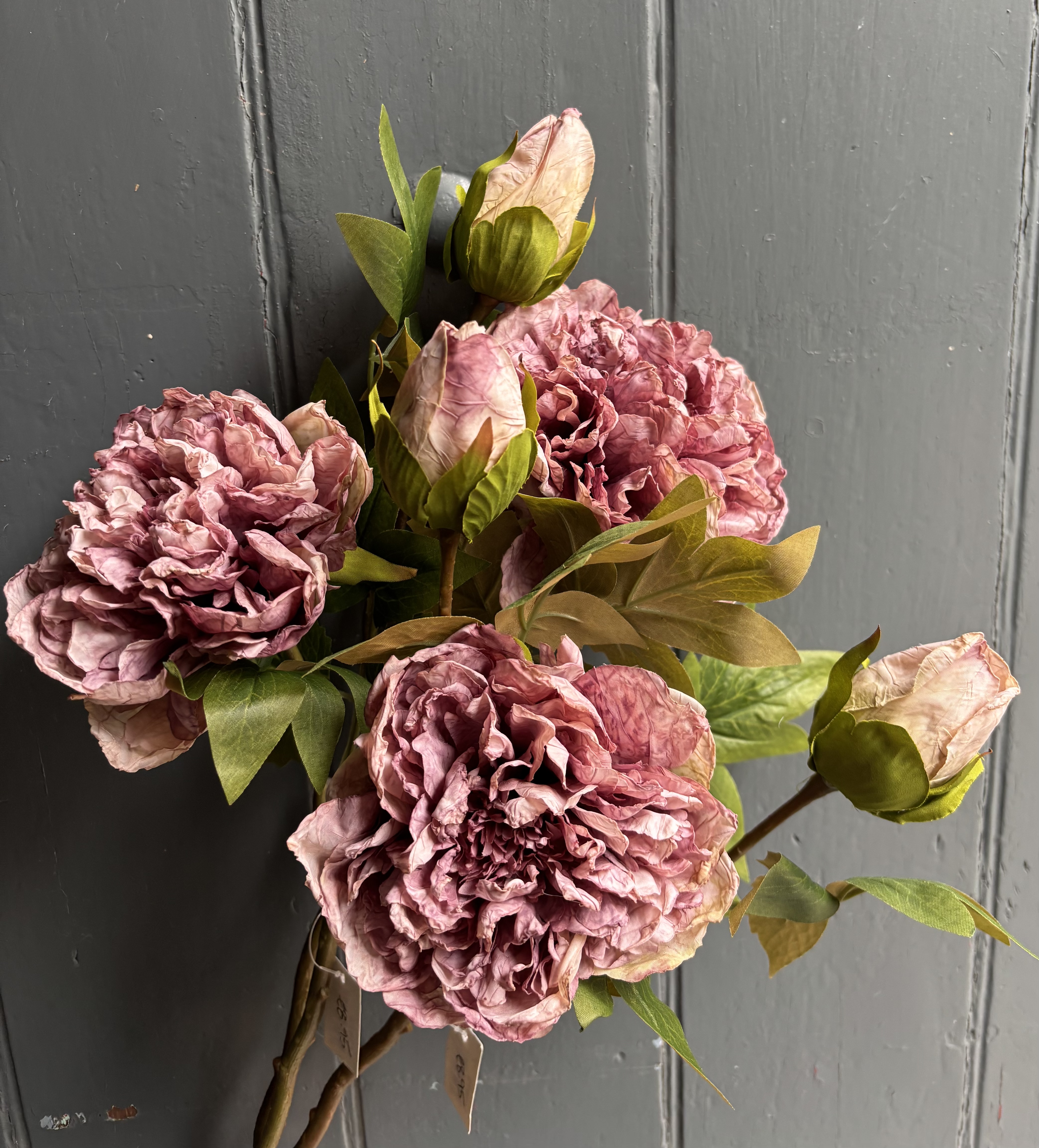Mauve Peony