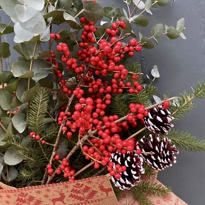 Ilex Berry and Winter Foliage - View 2