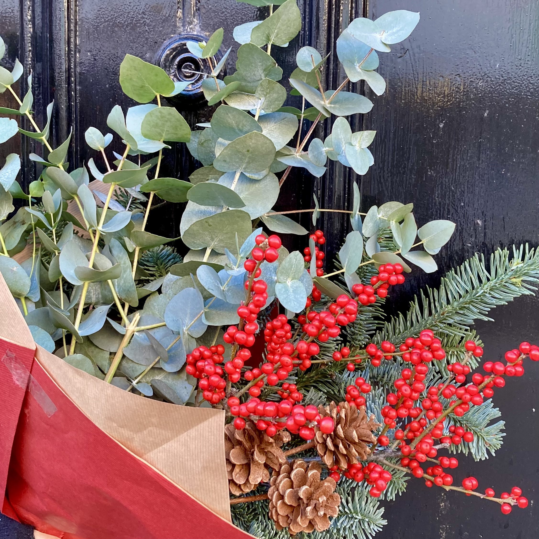 Ilex Berry and Winter Foliage