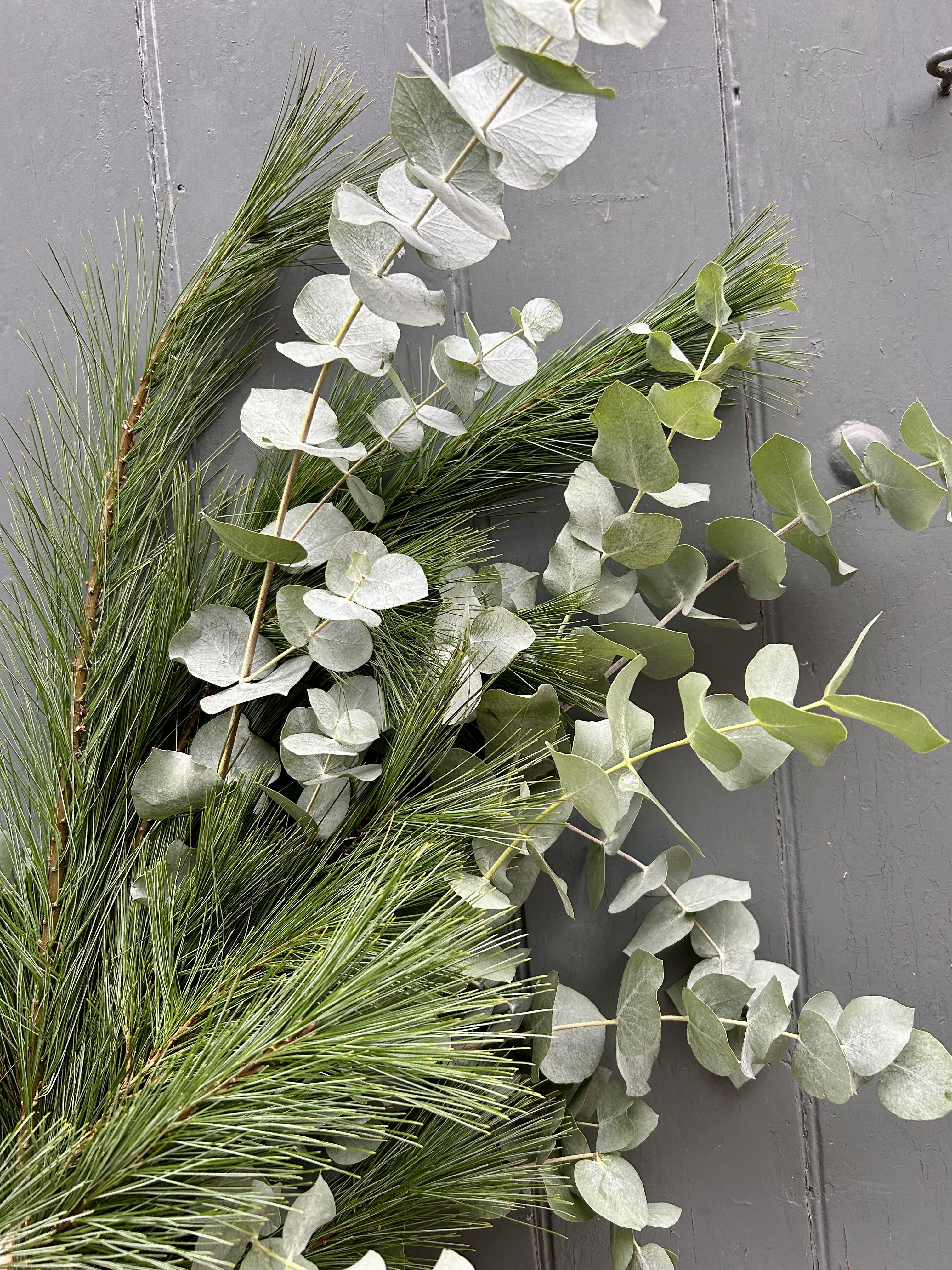 Seasonal Kiefer Fir & Eucalyptus Bunch