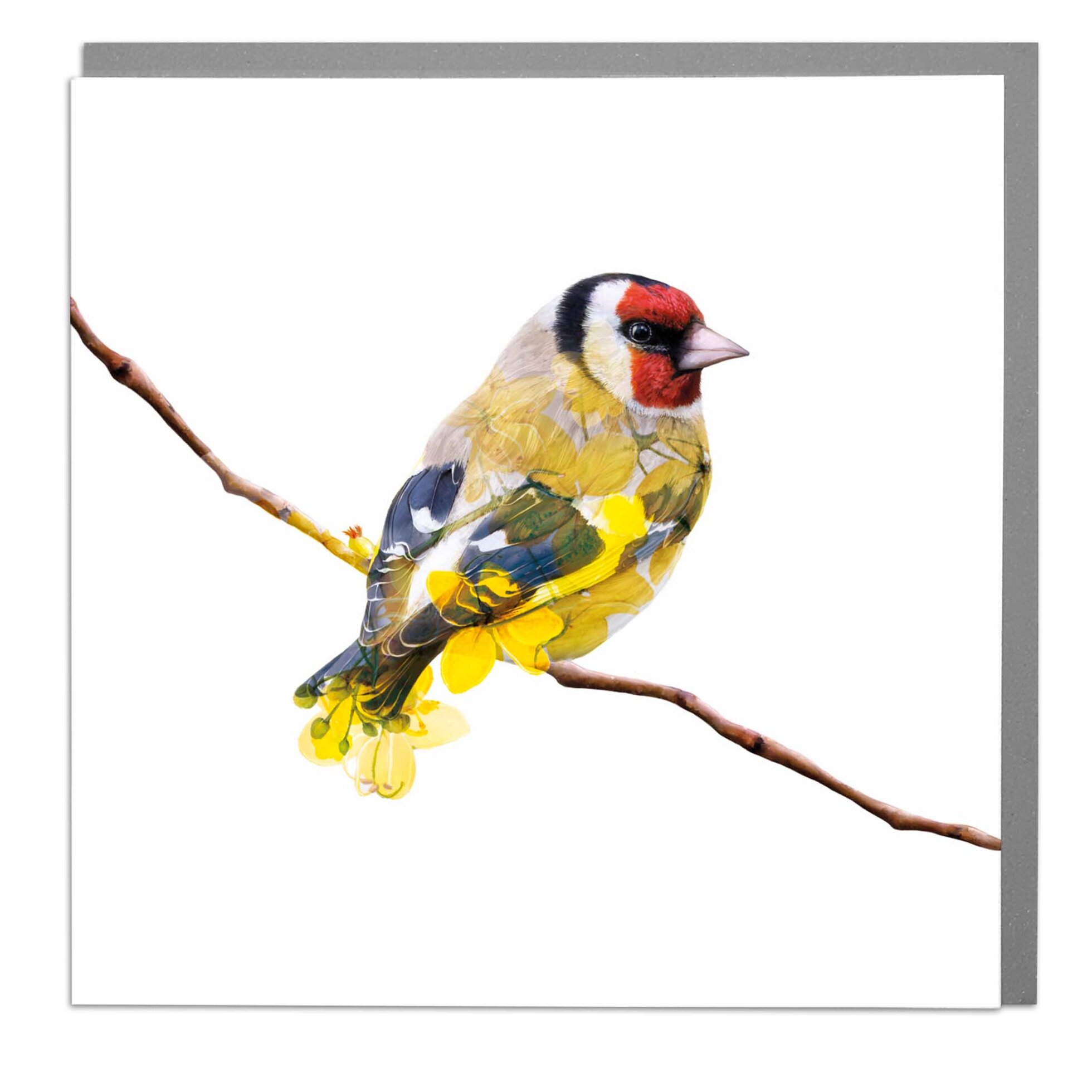 Gold Finch Card - Order from Baytree Florists Elgin