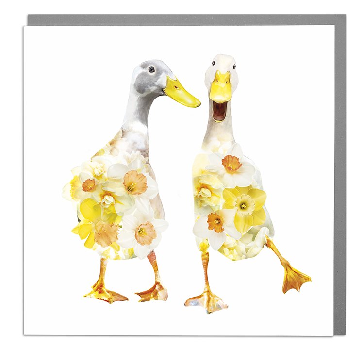 Indian Runner Ducks Card - Order from Baytree Florists Elgin