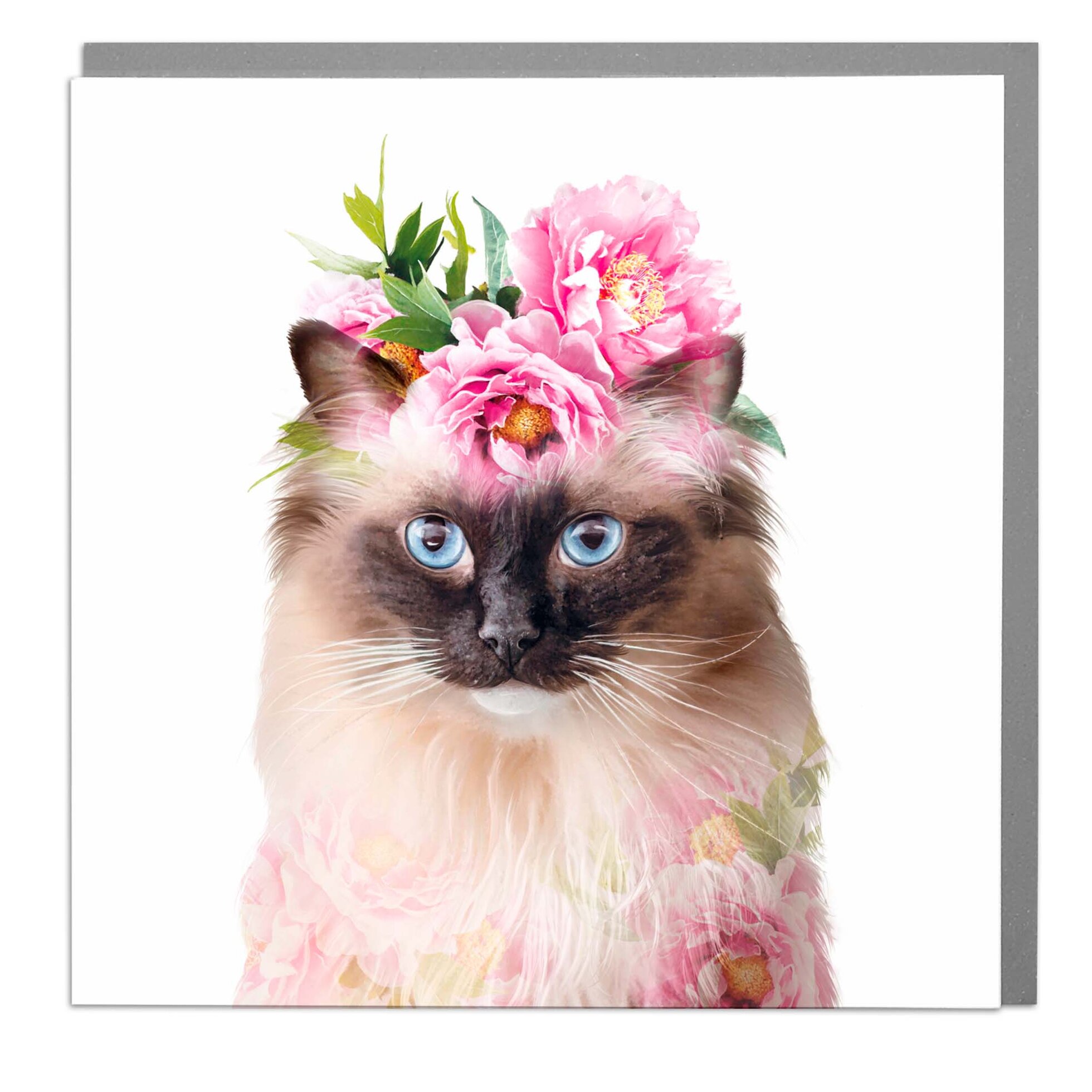 Rag Doll Cat Card - Order from Baytree Florists Elgin