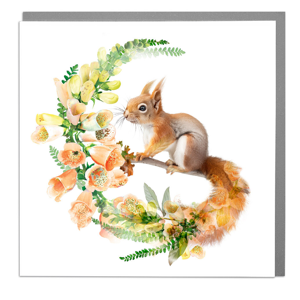 Squirrel On Branch Card - Order from Baytree Florists Elgin