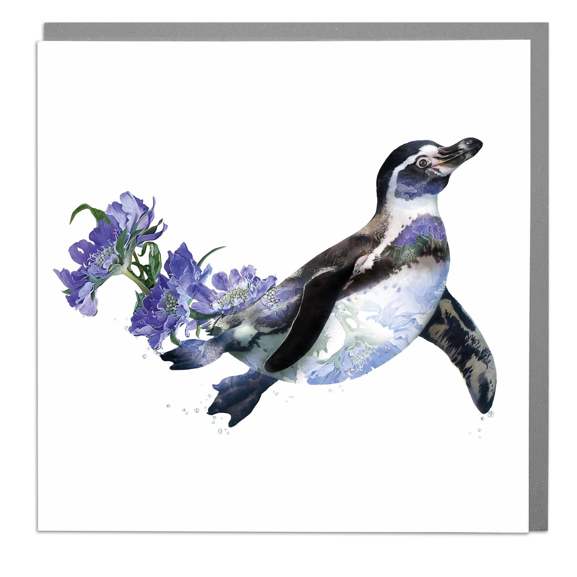 Penguin Card - Order from Baytree Florists Elgin