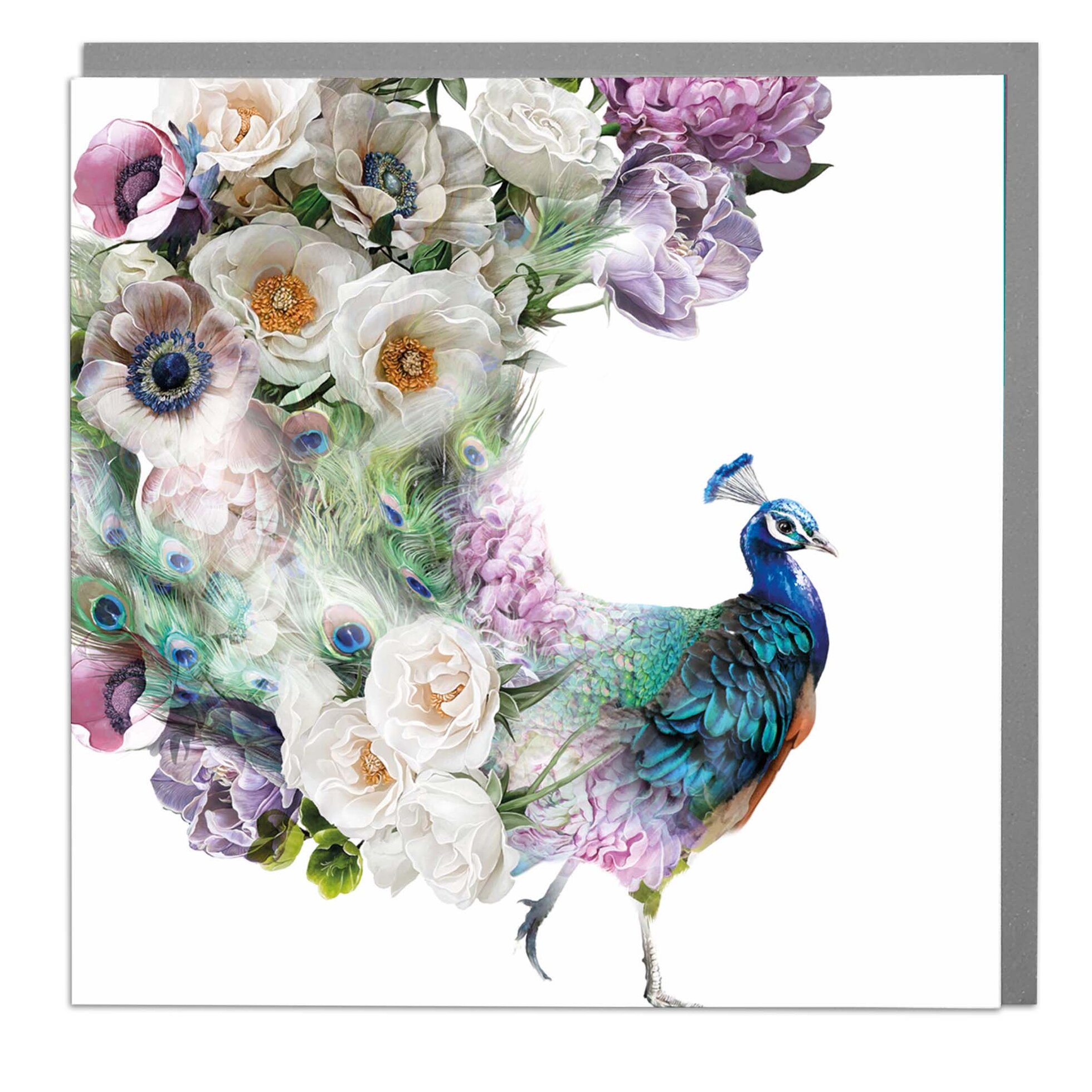 Peacock Card - Order from Baytree Florists Elgin
