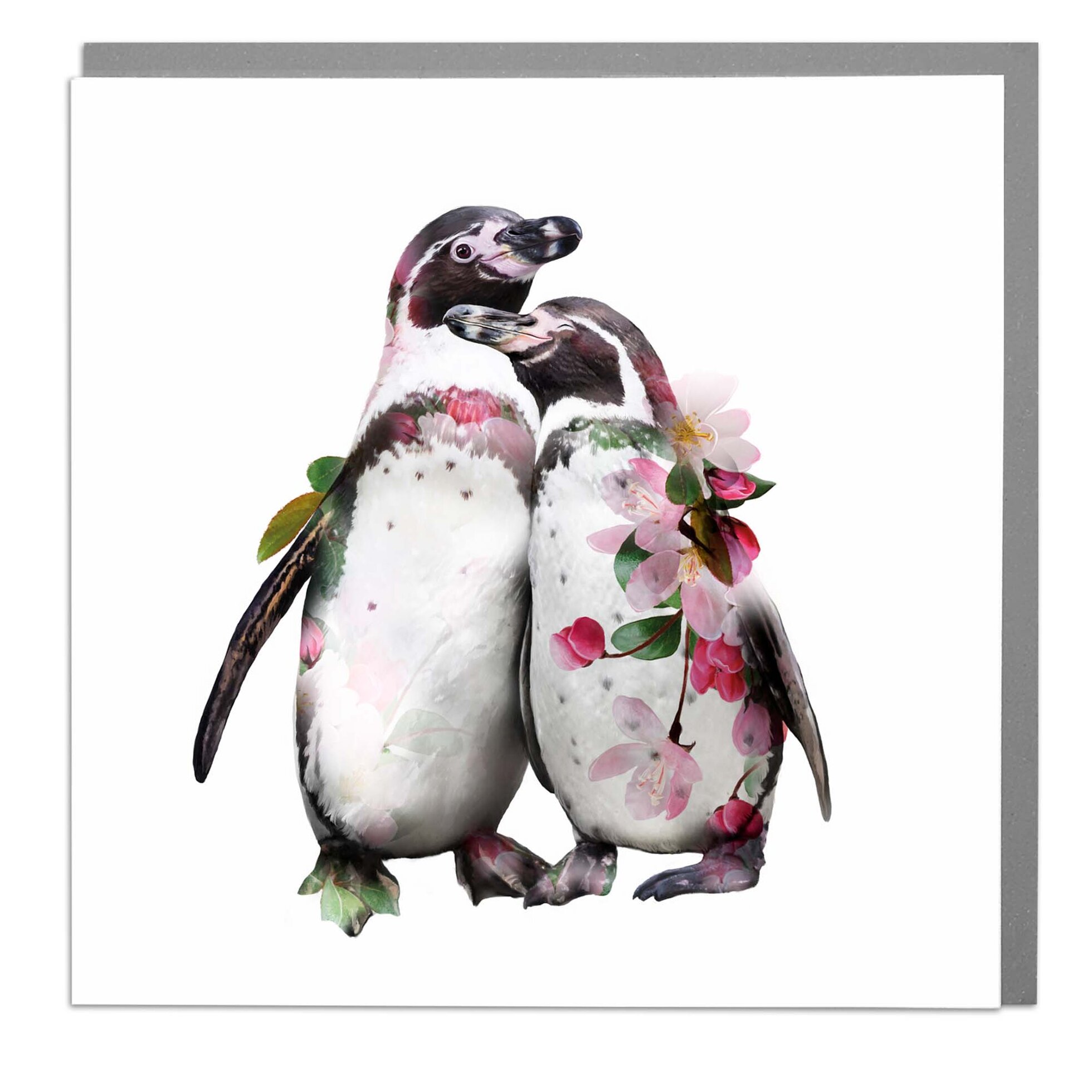 Hugging Penguins Card - Order from Baytree Florists Elgin