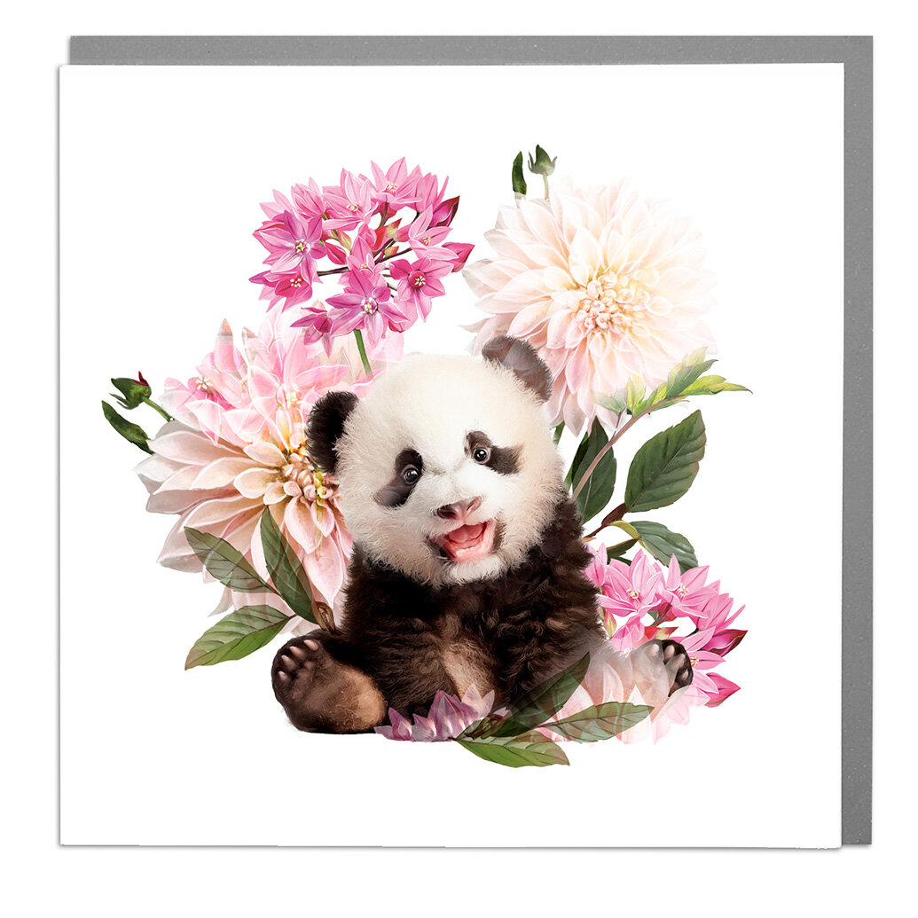 Panda Card - Fresh flowers from Baytree Florists Elgin