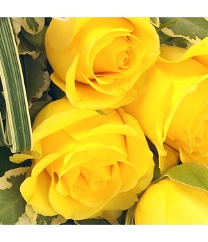 6 White Rose Funeral Sheaf - View 2