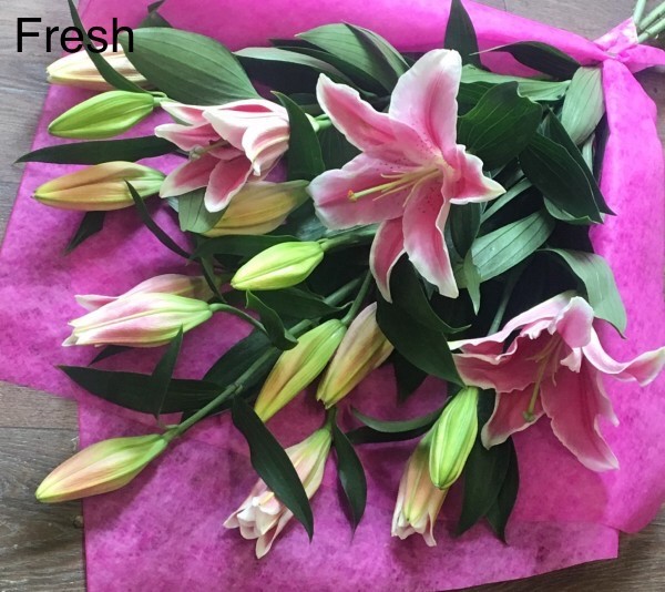 Simply Lilies - View 2